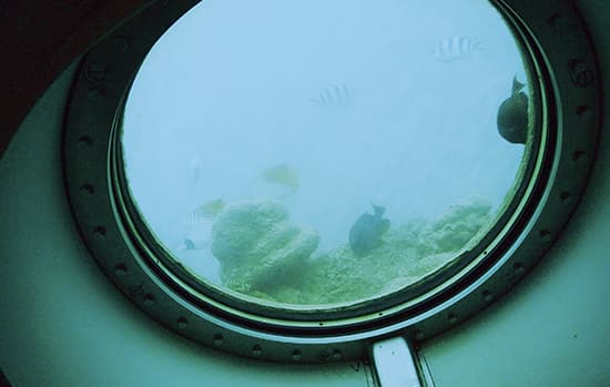Estruturas de vidro podem visitar o fundo do mar?
