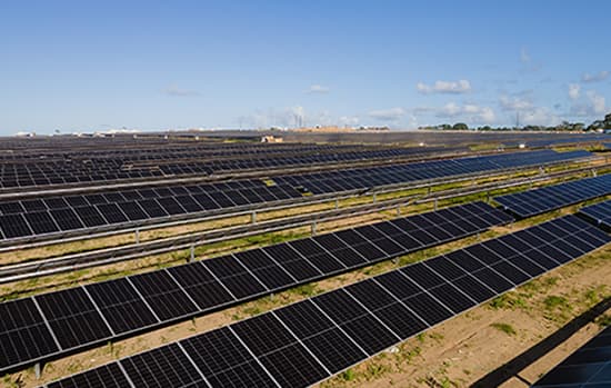 Parque Solar da Vivix, em Goiana, entra em funcionamento