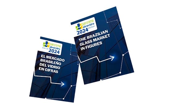Panorama Abravidro 2024 está disponível em inglês e espanhol