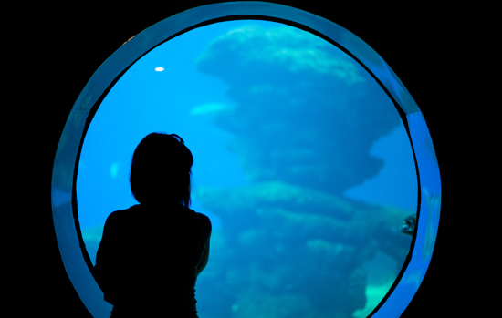 Silhouette of woman in the aquarium.
