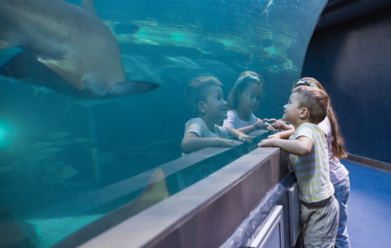 Little siblings looking at fish tank at the aquarium